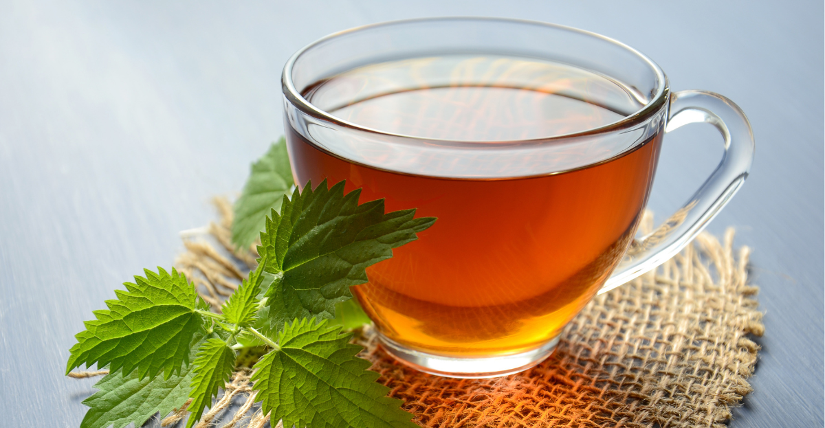 April Foraging Guide Nettles Recipes and Seasonal Wild Food | National ...