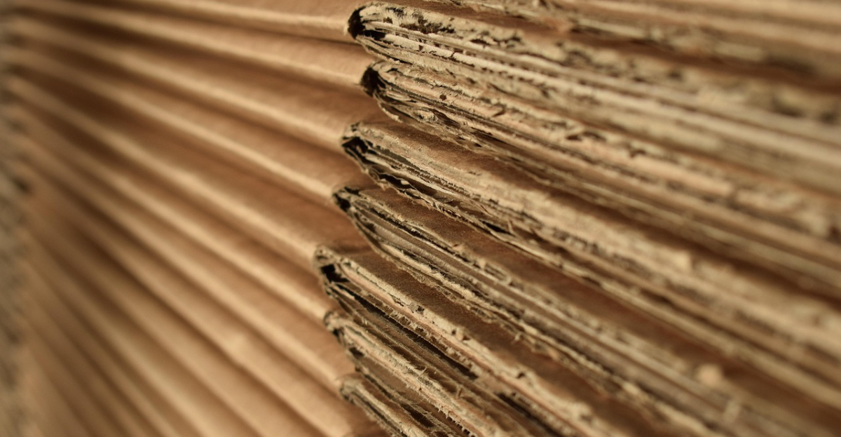 Is Cardboard Safe for Your Allotment? | National Allotment Society