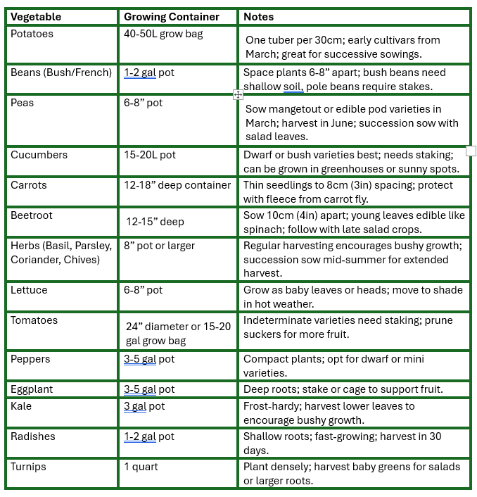 Cabbage Growing Guide From Plot to Plate | National Allotment Society